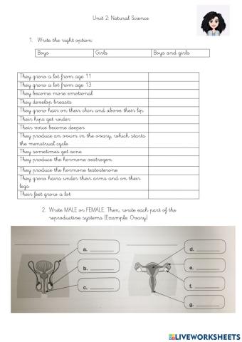 Puberty and reproductive systems