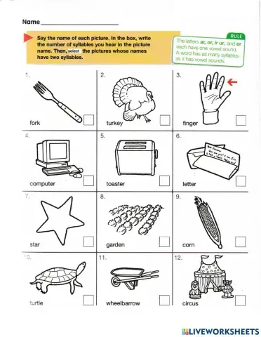 R Controlled Vowels- Vowels with R