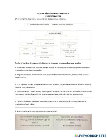 Evaluación ciencias naturales 6° b