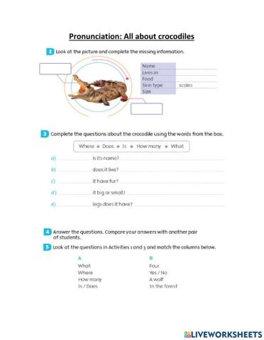 All about crocodiles