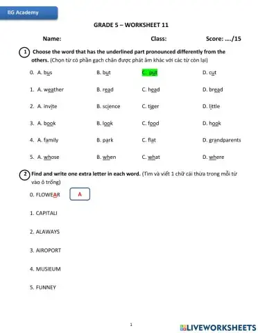 IIG-Grade 5-Worksheet 11