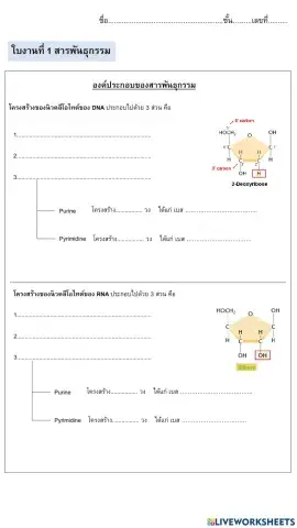 ใบงานที่ 1 สารพันธุกรรม