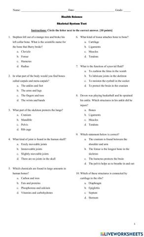 Skeletal System Test