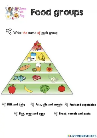 Food Pyramid