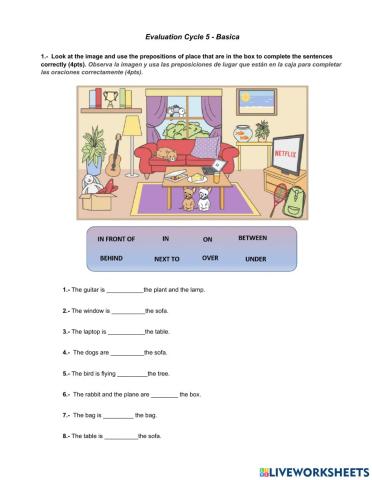 English Evaluation Cycle 5 - Basica