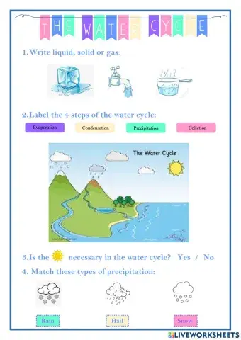 The water cycle