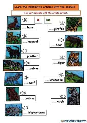 Indefinitive articles: write the correct  article before tne name of a wild animal.
