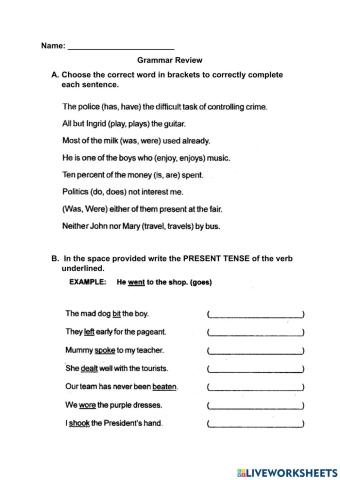 Grammar Review Exercise