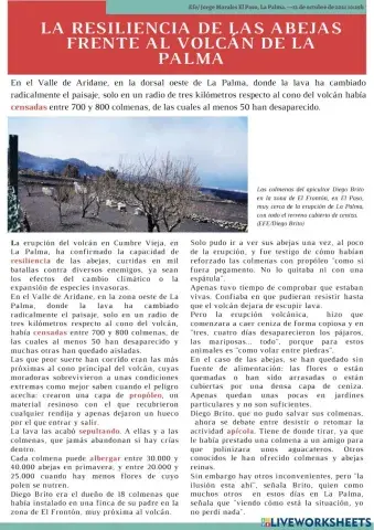 COMPRENSIÓN LECTORA: LA RESILENCIA DE LAS ABEJAS