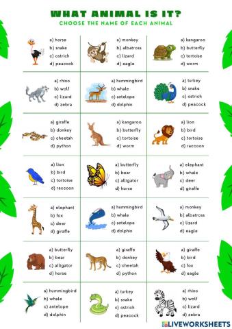 WIld Advanced Animals Vocabulary