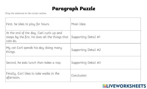Paragraph Puzzle