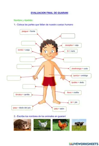 Las partes del cuerpo y los animales