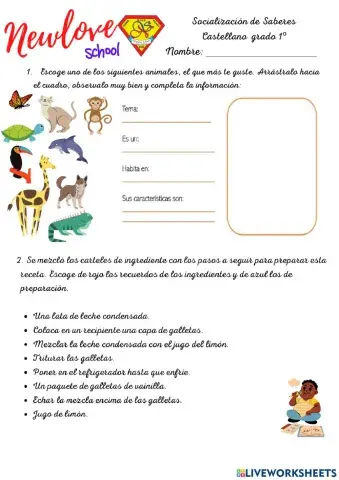 Socialización de Saberes