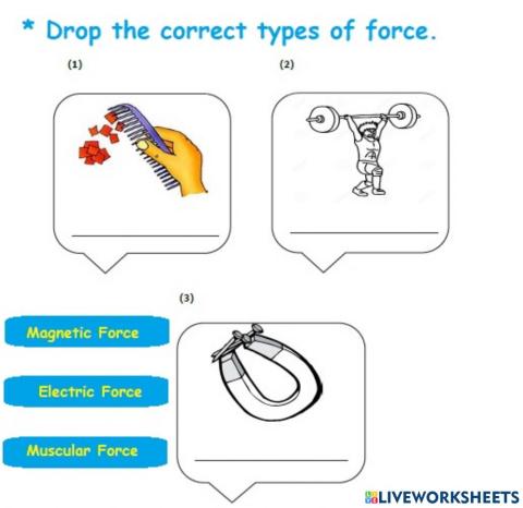 Choose Types of Force