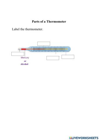 Parts of a Thermometer
