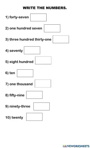 Number words and symbols.
