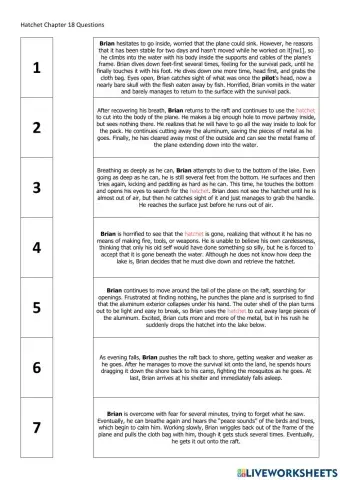 Hatchet Chapter 18 Questions