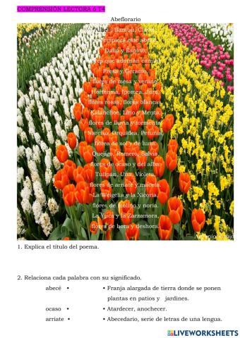 Comprensión Lectora