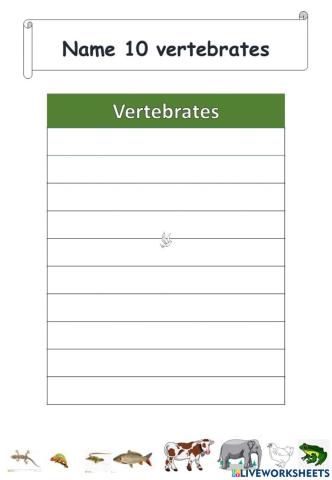 Classification of Animals