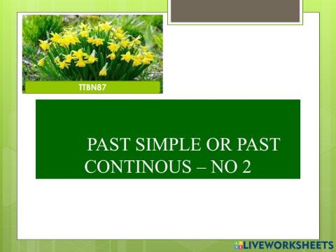 Past simple and past continuous No 2