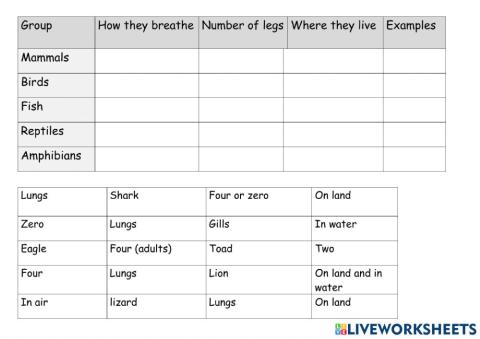 Vertebrates characteristics