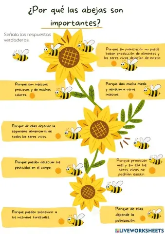 ¿Por qué las abejas son importantes?