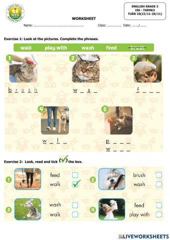 Theme 3 - lesson 5,6-ISSSE grade 3