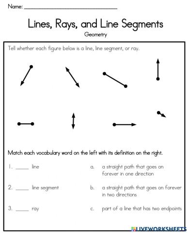 Line   Segment   Ray