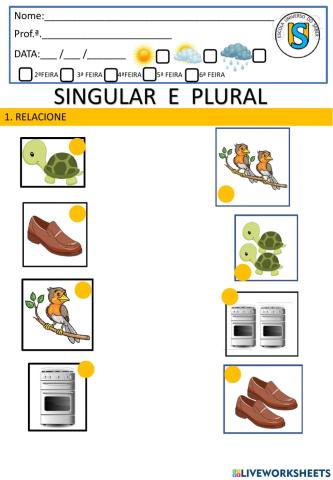 Plural e singular
