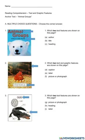 Text and Graphic Features