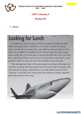 Reading 2: Looking For Luch 5th grade
