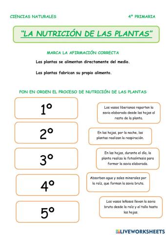 La nutrición de las plantas