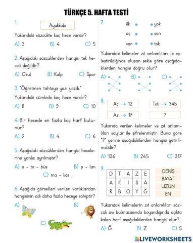 Türkçe 5. Hafta Test