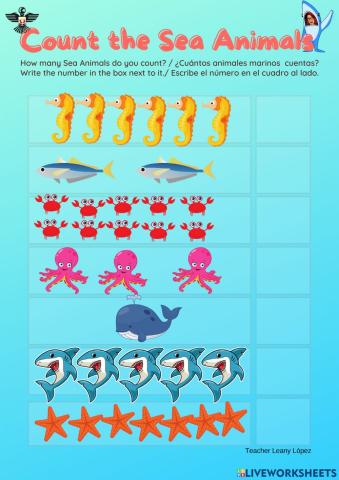Count the Sea Animals