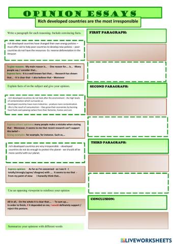 Opinion essay