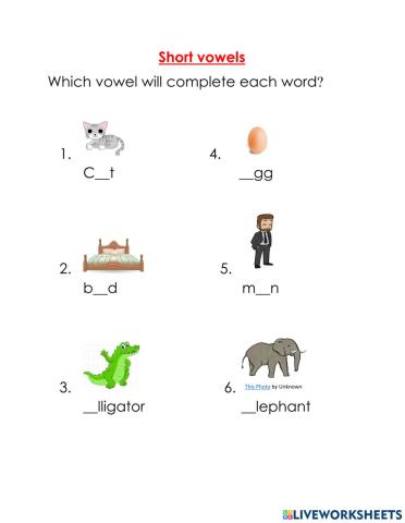 Short vowels