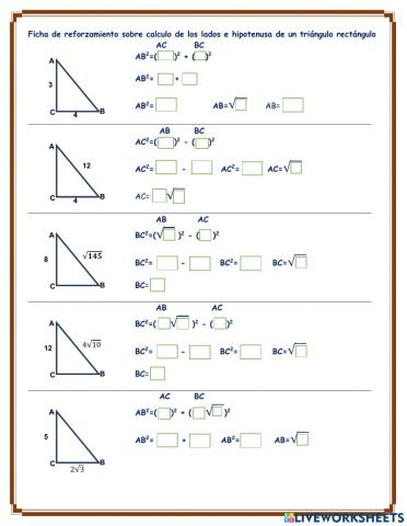 Triangulo rectángulos