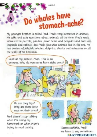 Do whales have stomach-ache