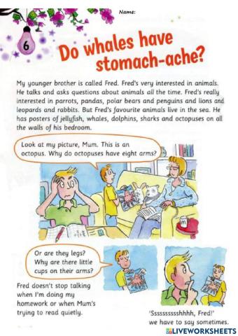 Do whales have stomach-ache