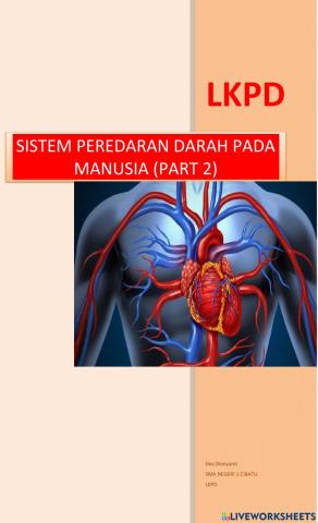 Sistem peredaran darah pada manusia (part 2)