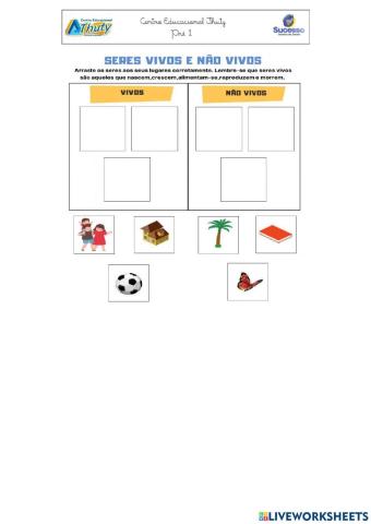 Atividade Interativa de Natureza e Sociedade