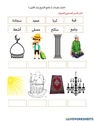 مفردات جامع الشيخ زايد الكبير