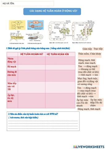HỆ TUẦN HOÀN t1