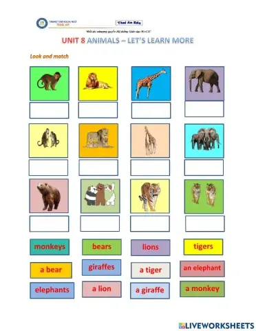 Unit 8 - let's learn more let's go 1