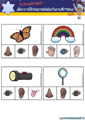 ศพด.ทต.บางเดื่อ