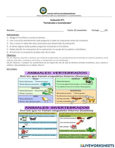 Evaluación vertebrados e invertebrados