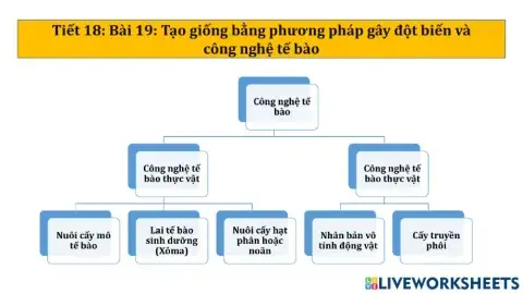 Bài 19:Sinh học 12