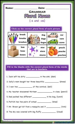 Plural Nouns (s and es)