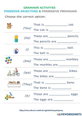 Possessive Adjectives & Possessive Pronouns