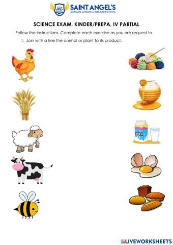 Animals product